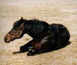 �����уA�P�{�m�P