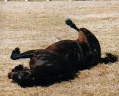 �����уA�P�{�m�Q