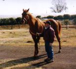 ���C�����X�L�[