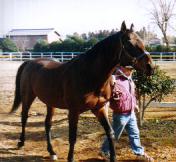 �T���q�R�[