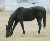 �}�L�o�T�C�N������