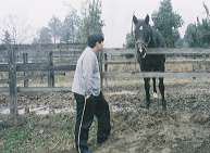 �~�i���g�}���m�X�Ƃ�����