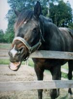 �~�i���g�}���m�X