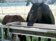 ��͋����E�E�E