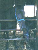 �e�q�E�E�E