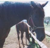 �q�����S�z�̕ꂳ��E�E�E