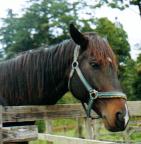 ミナモトマリノス