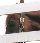 ������C�V�m�T���f�[