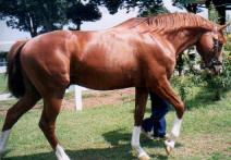 「あ〜、グッタリだよ〜」