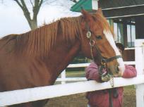 �C�V�m�T���f�[