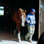 �C�V�m�T���f�[