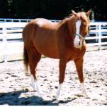 �C�V�m�T���f�[