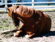 �������тP