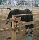 �~�X�^�[�V�[�r�[