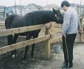 �V�[�r�[�Ɖ�