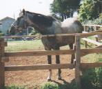 �V�[�r�[�h�E�^�[