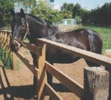 �~�X�^�[�V�[�r�[