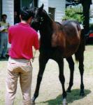 ���}�m���C�����Q�O�O�O