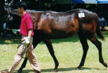 ���}�m���C�����Q�O�O�O