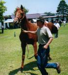 �V���K�[�̂Q�O�O�O