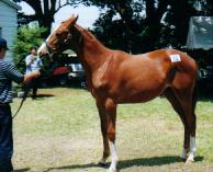 �N���}�C�e�B�̂Q�O�O�O