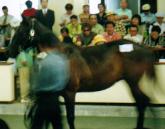 ���}�m���C�����̂Q�O�O�O