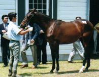 �A�[�o���e�����E�̂Q�O�O�O