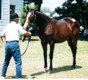 �g�L�m�T���f�[