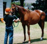 �L���b�`���O�N�C���̂Q�O�O�O