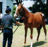 �N���}�C�e�B�̂Q�O�O�O