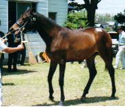 �^�P�m�X�C�[�g�̂Q�O�O�O