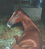 �}�L�o�g�p�[�Y�Q�O�O�O