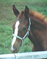 �}�L�o�g�p�[�Y�̂Q�O�O�P