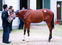 �A�~�t�W�y�A�O���X�̂Q�O�O�P