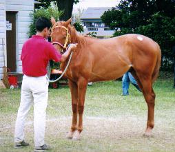 �_���T�[�Y�Z�u���̂Q�O�O�P