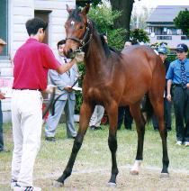 �}�C�t�F�U���g�̂Q�O�O�P