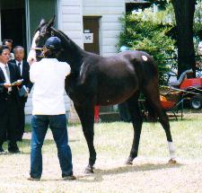 �N���}�C�e�B�̂Q�O�O�P