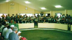 ���q���񂢂��ς�