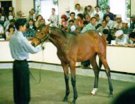 �}�C�t�F�U���g�Q�O�O�P