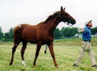 �I�y���b�^�Q�O�O�P