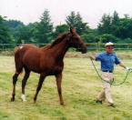 �I�y���b�^�Q�O�O�P