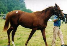 �I�y���b�^�Q�O�O�P