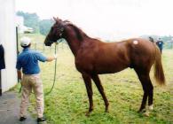 �I�y���b�^�Q�O�O�P