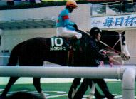 �{���o�C�G�����{J