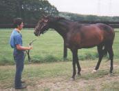 �X�y�V�����E�B�[�N