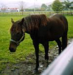 �~�z�V���U��