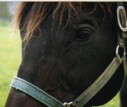 �~�z�V���U��