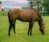 �A�u�N�}�|�[��