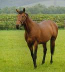 �^�C�L�t�H�[�`����