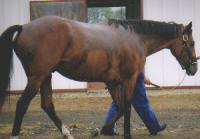 �~���N���A�h�}�C��